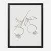 Framed Canvas 