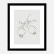 Pomegranate Green Art Print