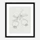 Pomegranate Green Art Print