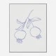 Pomegranate Lilac Art Print