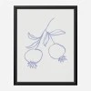 Framed Canvas 