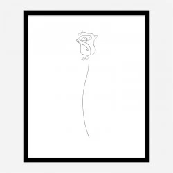 Rose Wall Art Print