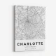 Charlotte North Carolina City Map Art Print