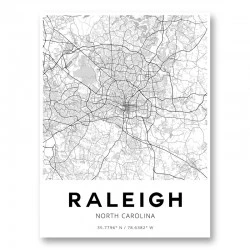 Raleigh North Carolina City Map Art Print