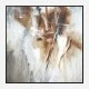Hidden Abstract Art Print