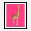 Framed Print 