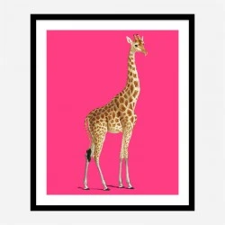 Vintage Giraffe Illustration Bright Pink Art Print