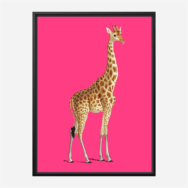 Vintage Giraffe Illustration Bright Pink Art Print