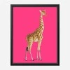 Framed Canvas 