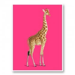 Vintage Giraffe Illustration Bright Pink Art Print