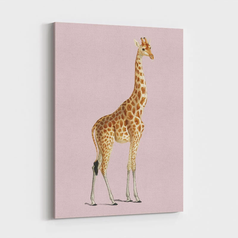 Vintage Giraffe Illustration Pink Art Print