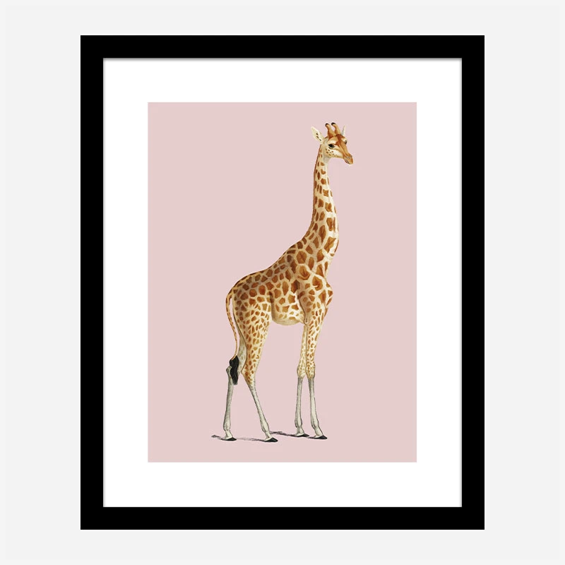 Vintage Giraffe Illustration Pink Art Print