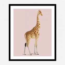 Vintage Giraffe Illustration Pink Art Print
