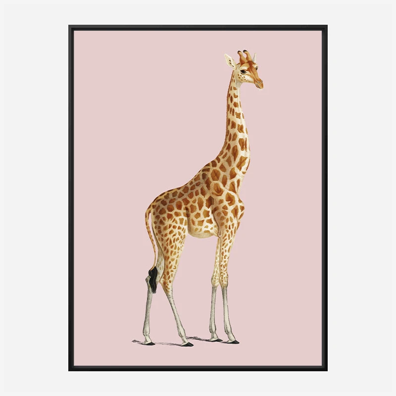 Vintage Giraffe Illustration Pink Art Print