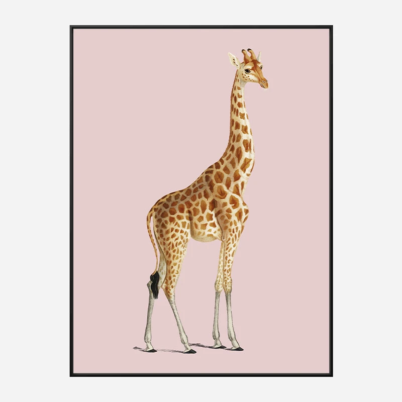 Vintage Giraffe Illustration Pink Art Print