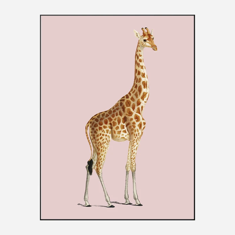 Vintage Giraffe Illustration Pink Art Print