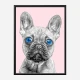 Blue Eyes French Bulldog Art Print