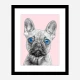 Blue Eyes French Bulldog Art Print