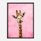 Pink Giraffe Art Print