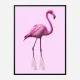 Pink Flamingo Boots Art Print