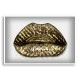 Gucci Gold Lips Wall Art