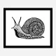 Turbo the Snail Art Print