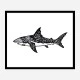 It's a Shark Art Print