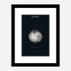 Earth Definitions