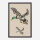 Flying Ducks