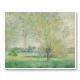 The Willows by Claude Monet Art Print