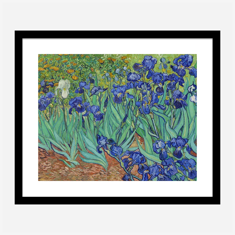 Irises 1889 by Vincent Van Gogh Art Print