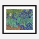 Irises 1889 by Vincent Van Gogh Art Print