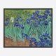 Irises 1889 by Vincent Van Gogh Art Print