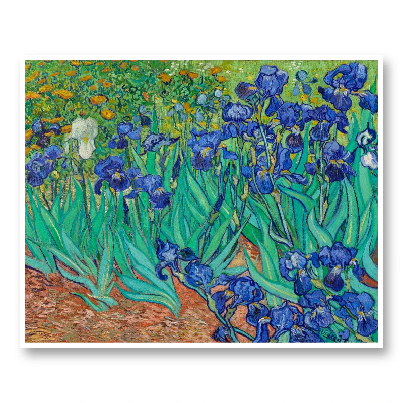 Irises 1889 by Vincent Van Gogh Art Print