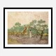Women Picking Olives by Vincent Van Gogh Art Print