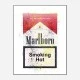 Smoking Hot Art Print