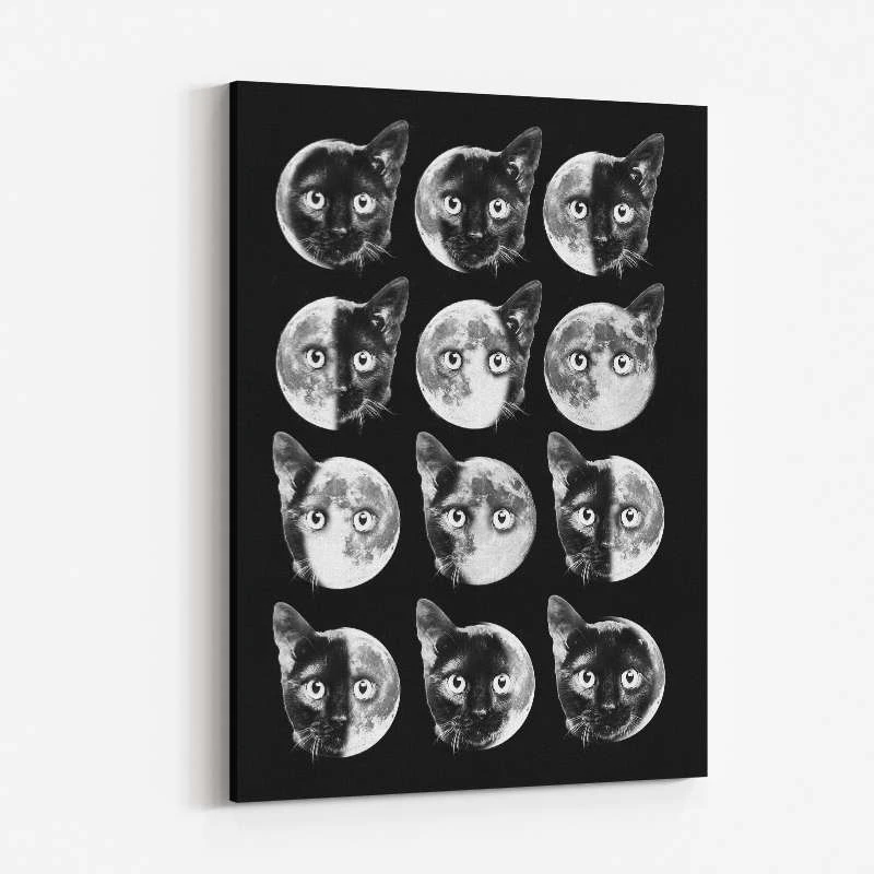 Cat Moon Phases