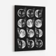 Cat Moon Phases