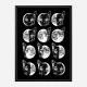 Cat Moon Phases