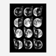 Cat Moon Phases