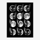 Cat Moon Phases