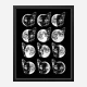Cat Moon Phases