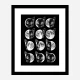 Cat Moon Phases