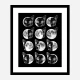 Cat Moon Phases
