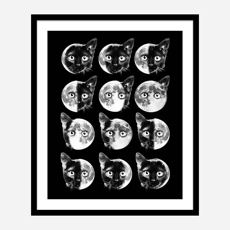 Cat Moon Phases
