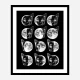 Cat Moon Phases