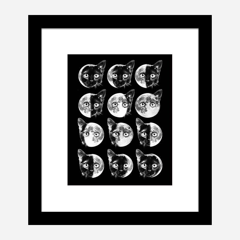 Cat Moon Phases