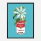 Campbells and Flowers