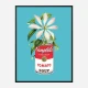 Campbells and Flowers