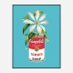 Campbells and Flowers